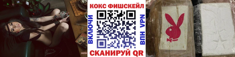 Кокаин Эквадор  Щучье 