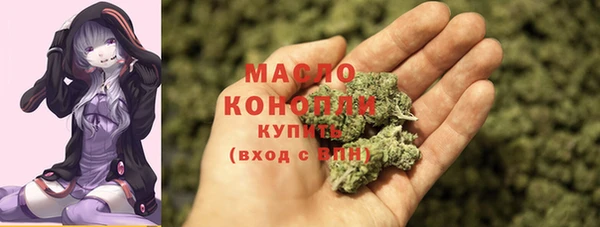 молекула духа Гусиноозёрск