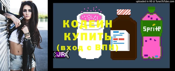сатива Гусь-Хрустальный