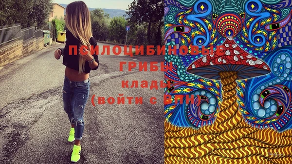 сатива Михайловск