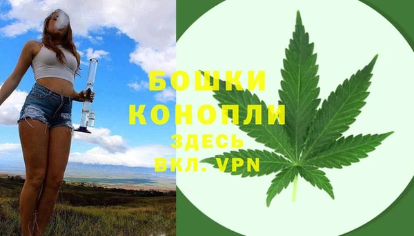 прущий лед Инсар